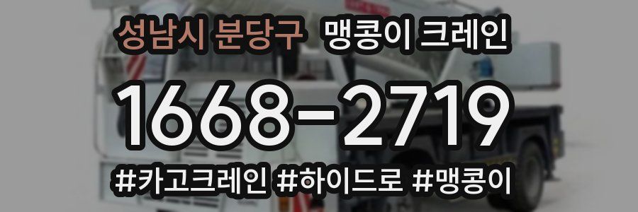 성남시 분당구 맹콩이 크레인