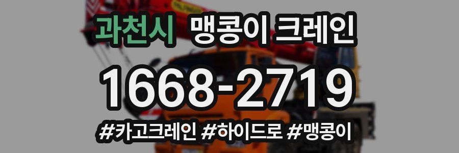 과천시 맹콩이 크레인
