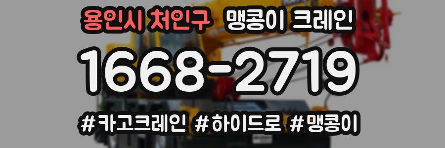 용인시 처인구 맹콩이 크레인