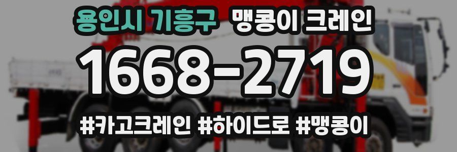 용인시 기흥구 맹콩이 크레인