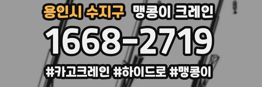 용인시 수지구 맹콩이 크레인