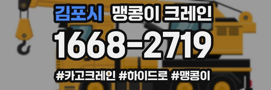 김포시 맹콩이 크레인