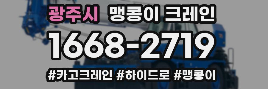 광주시 맹콩이 크레인