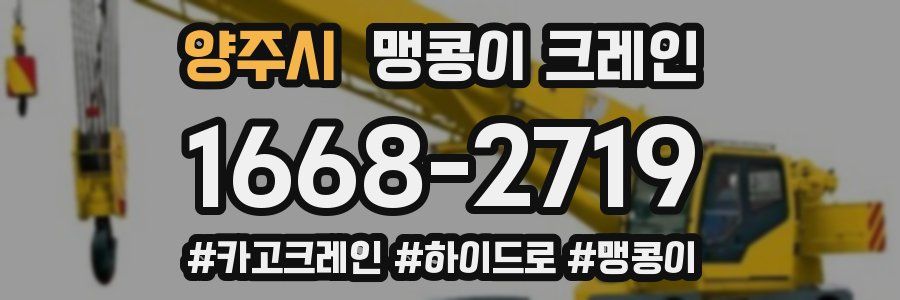 양주시 맹콩이 크레인