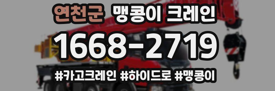 연천군 맹콩이 크레인