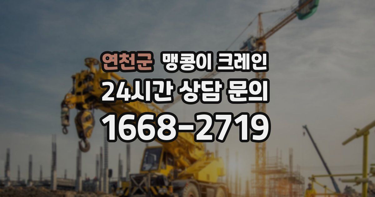 연천군 맹콩이 크레인