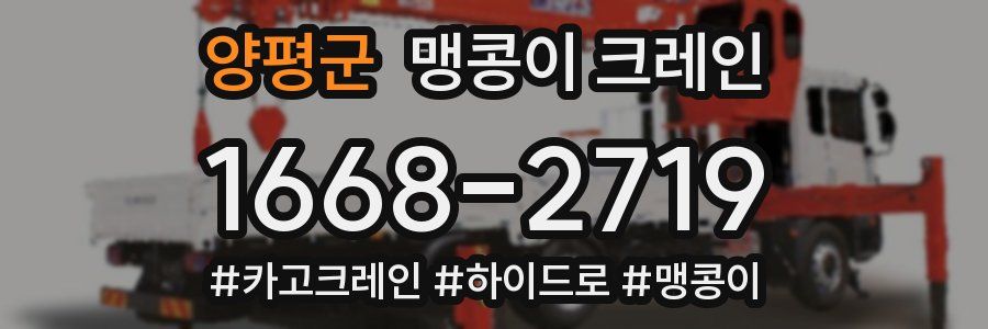 양평군 맹콩이 크레인