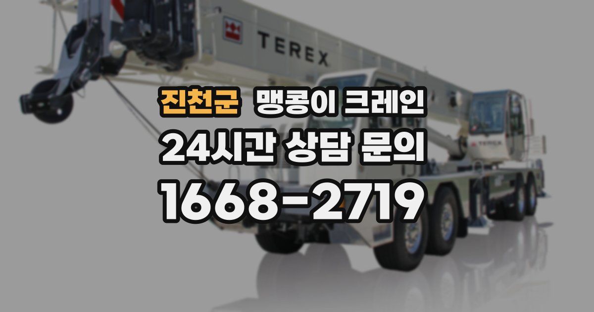 진천군 맹콩이 크레인