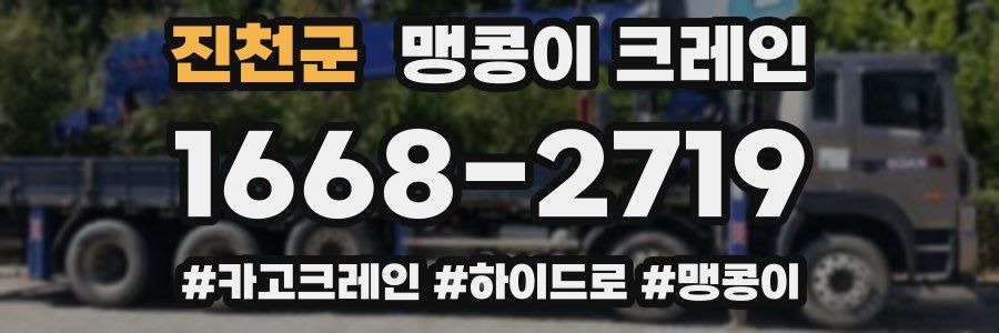 진천군 맹콩이 크레인