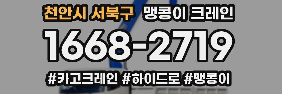 천안시 서북구 맹콩이 크레인