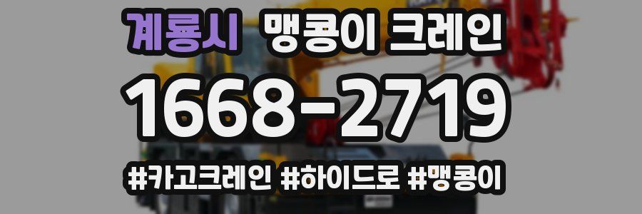 계룡시 맹콩이 크레인