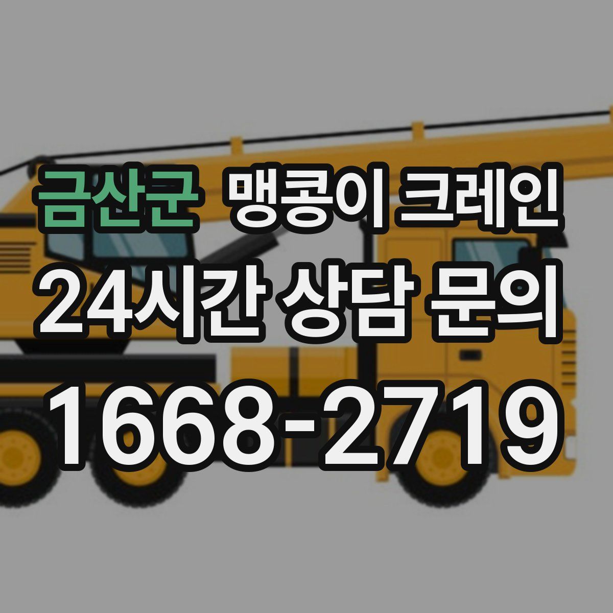 금산군 맹콩이 크레인