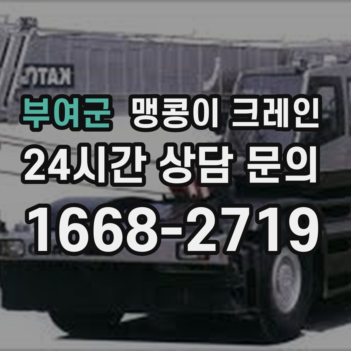 부여군 맹콩이 크레인