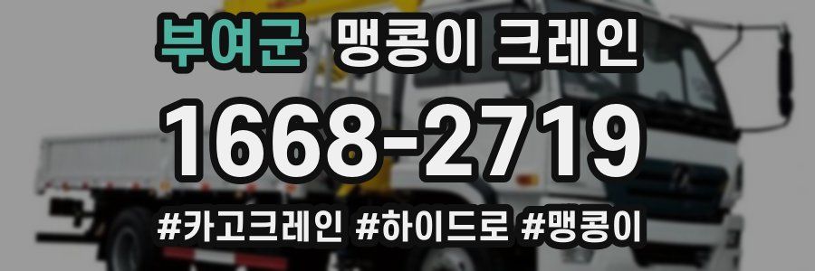 부여군 맹콩이 크레인