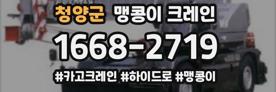 청양군 맹콩이 크레인