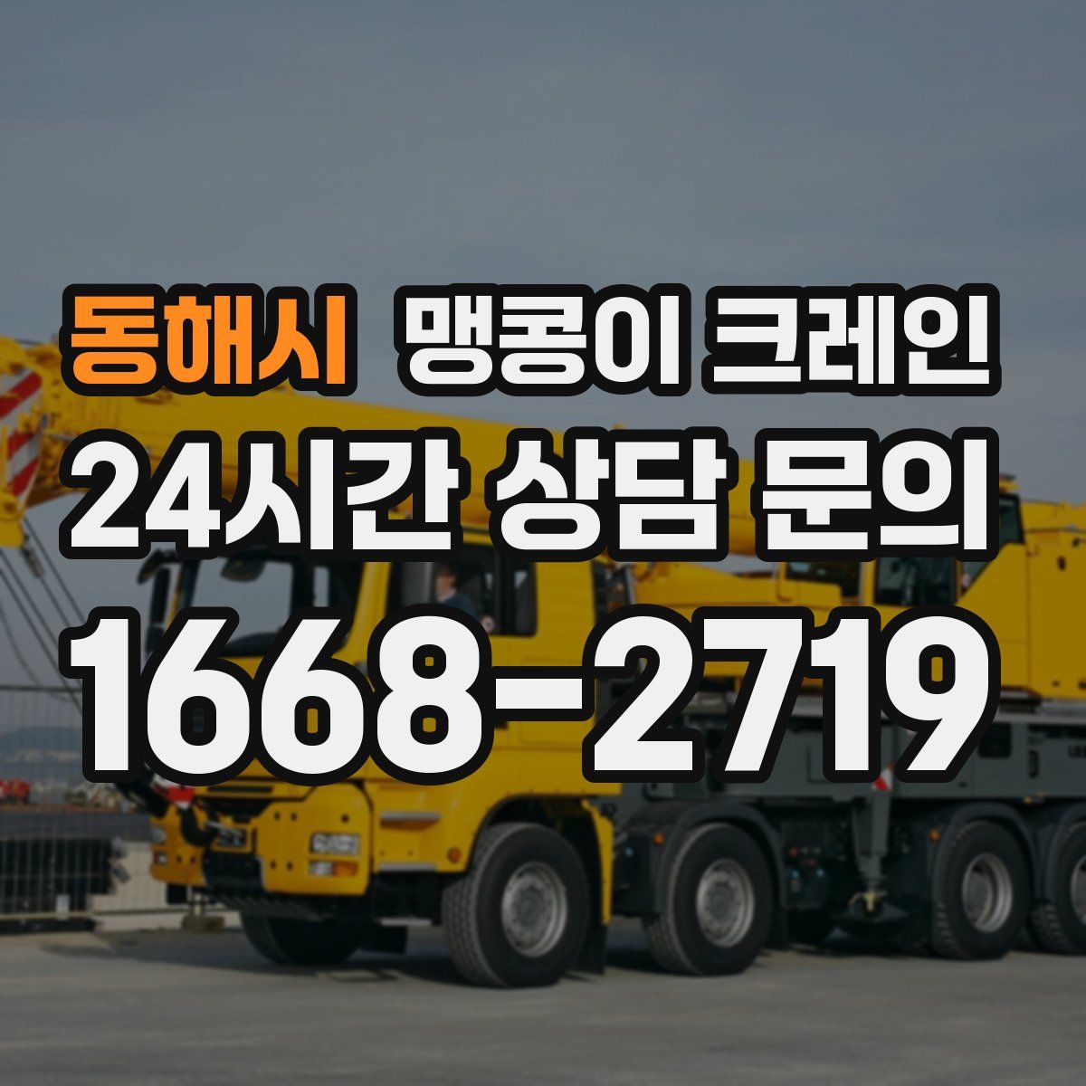 동해시 맹콩이 크레인