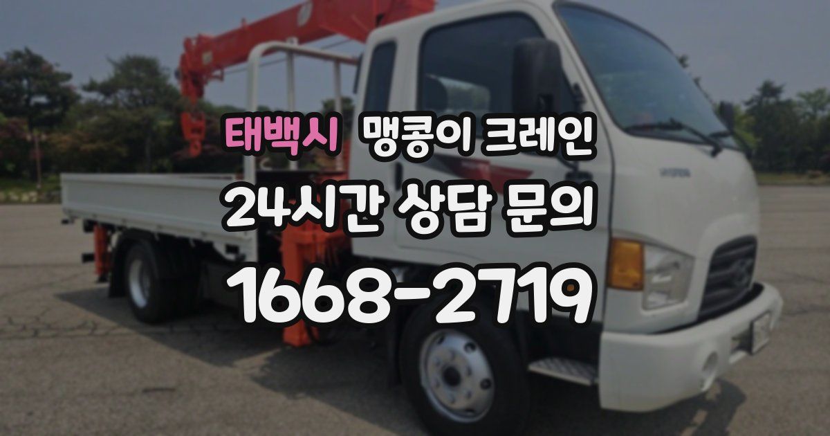 태백시 맹콩이 크레인