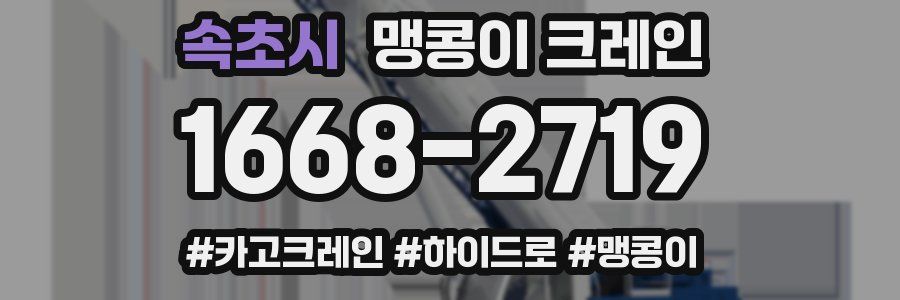 속초시 맹콩이 크레인