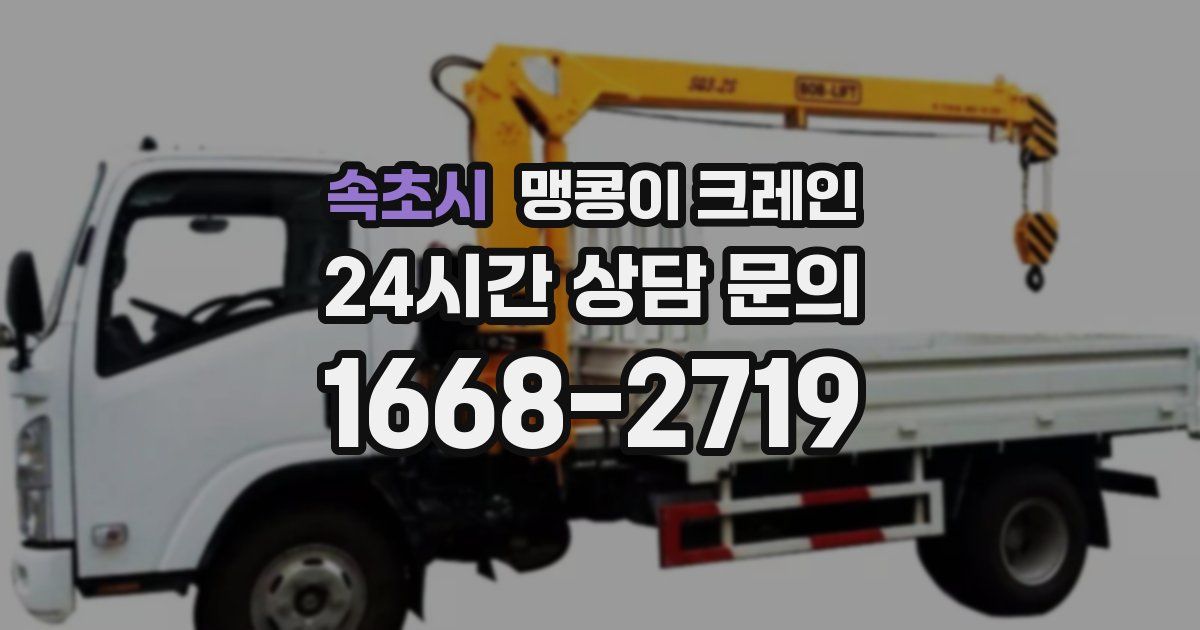 속초시 맹콩이 크레인