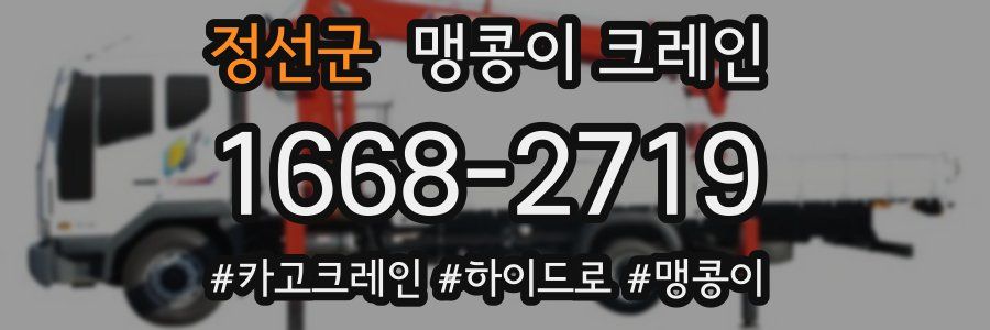 정선군 맹콩이 크레인