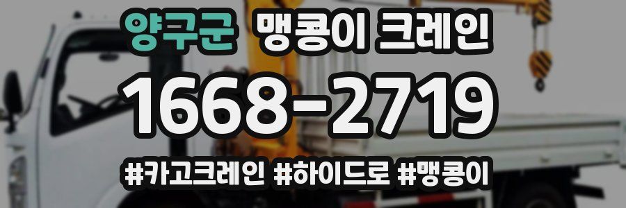 양구군 맹콩이 크레인