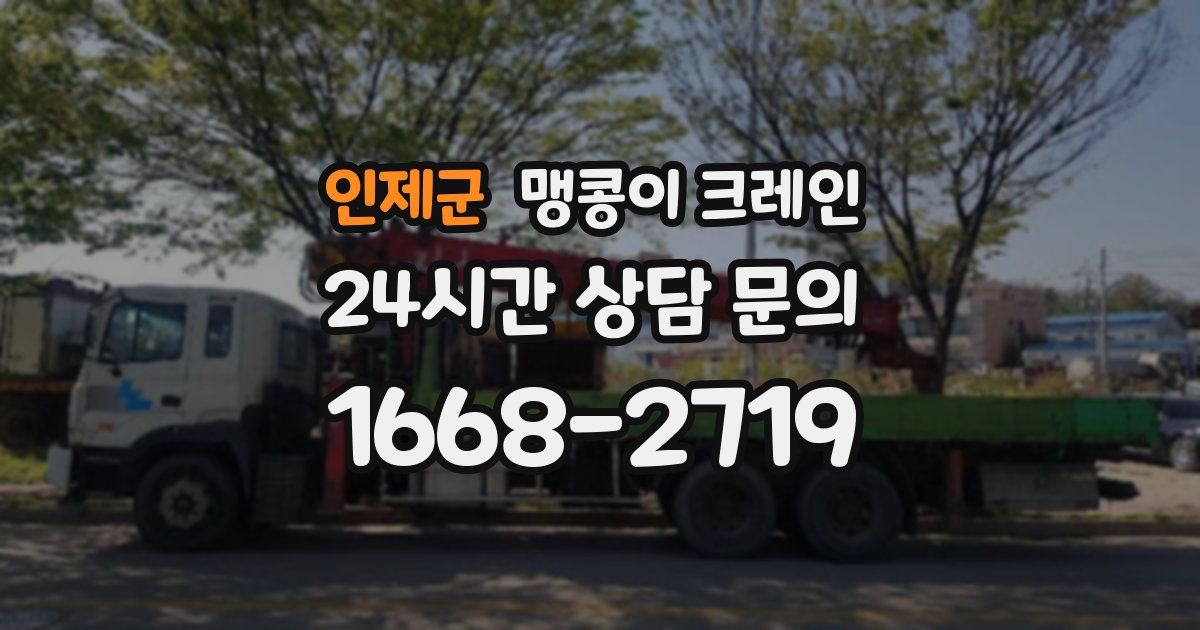 인제군 맹콩이 크레인