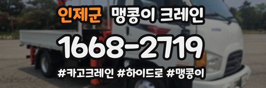 인제군 맹콩이 크레인