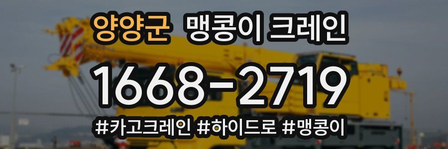 양양군 맹콩이 크레인