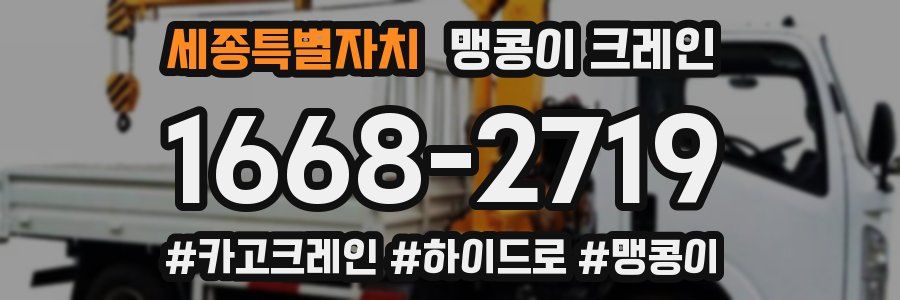 세종특별자치 맹콩이 크레인