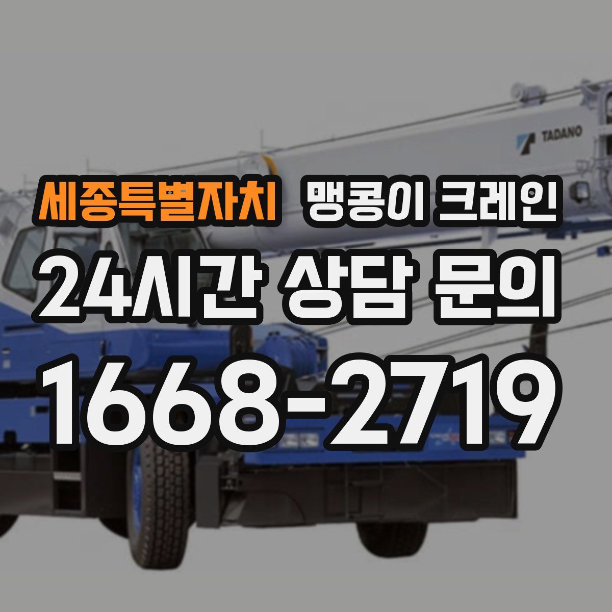 세종특별자치 맹콩이 크레인