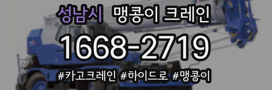 성남시 맹콩이 크레인