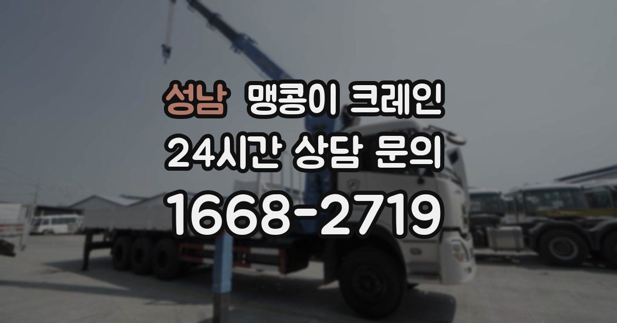 성남 맹콩이 크레인