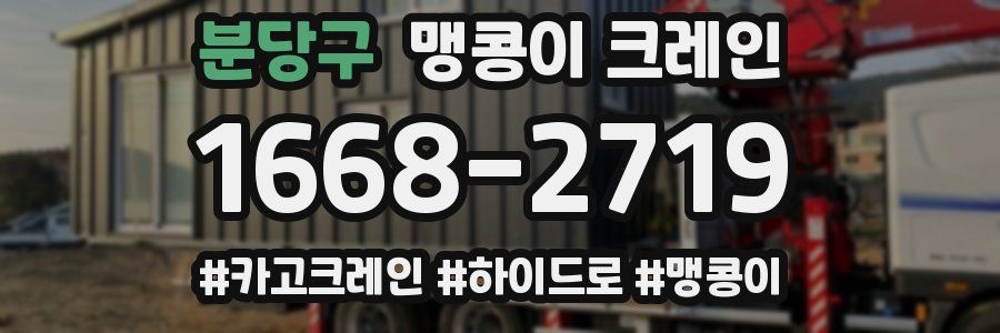 분당구 맹콩이 크레인