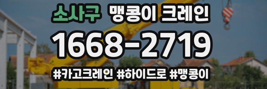 소사구 맹콩이 크레인