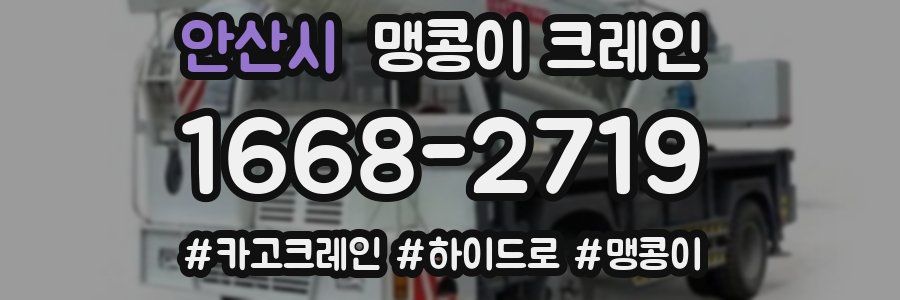 안산시 맹콩이 크레인