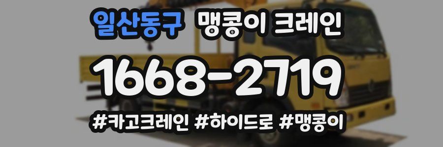일산동구 맹콩이 크레인