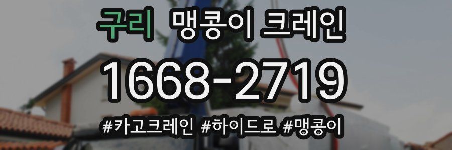 구리 맹콩이 크레인