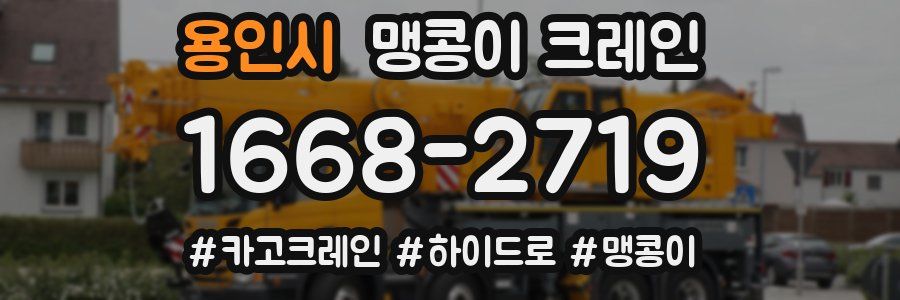 용인시 맹콩이 크레인