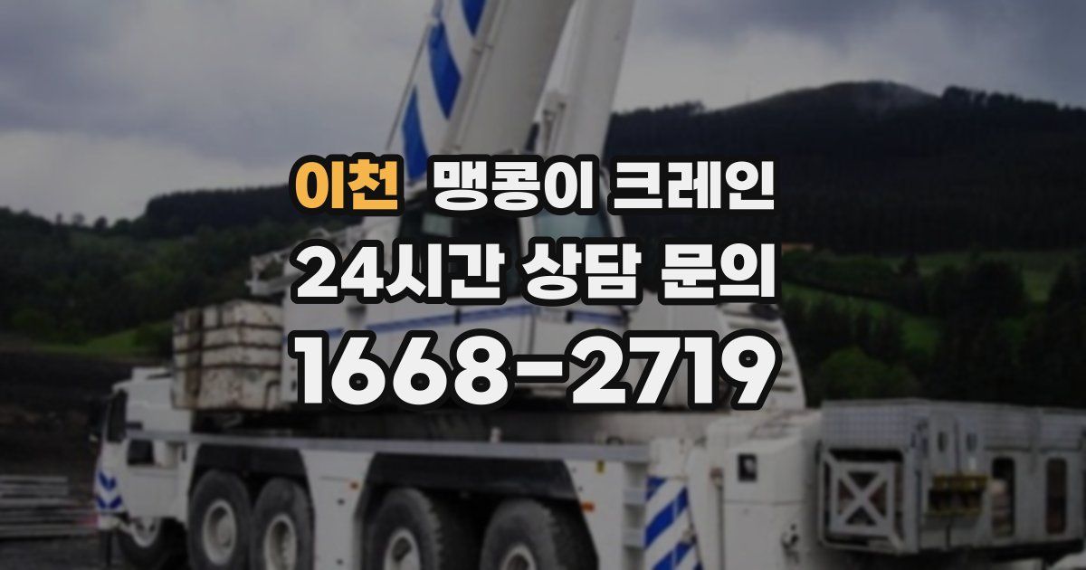 이천 맹콩이 크레인