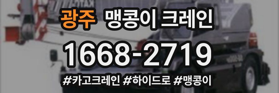 광주 맹콩이 크레인