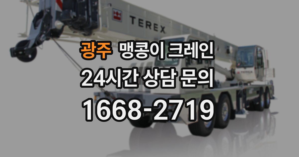 광주 맹콩이 크레인
