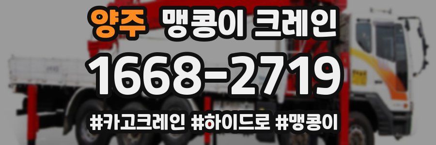 양주 맹콩이 크레인