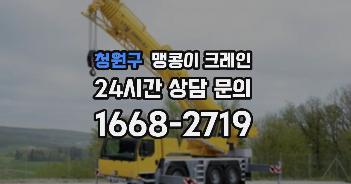 청원구 맹콩이 크레인