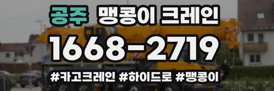 공주 맹콩이 크레인