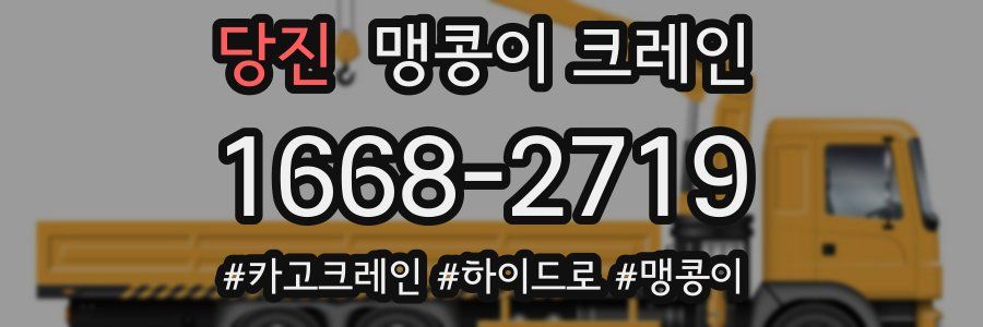 당진 맹콩이 크레인