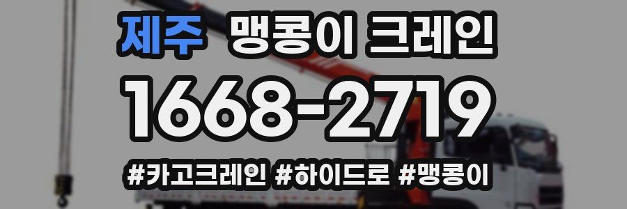 제주 맹콩이 크레인