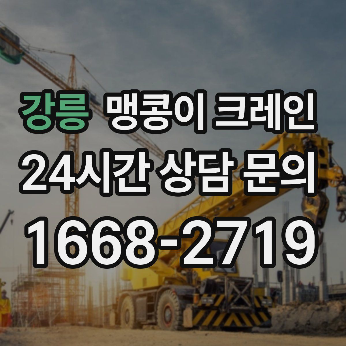 강릉 맹콩이 크레인