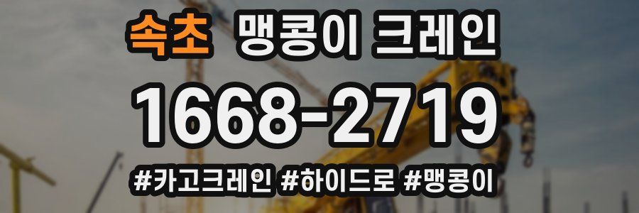 속초 맹콩이 크레인