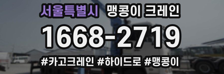 서울특별시 맹콩이 크레인