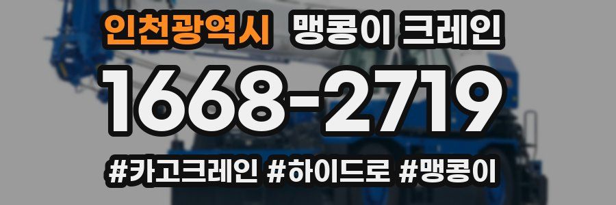 인천광역시 맹콩이 크레인